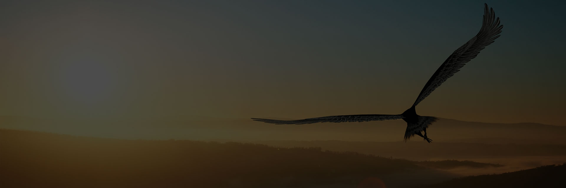 늳س늙C(j)DƬ